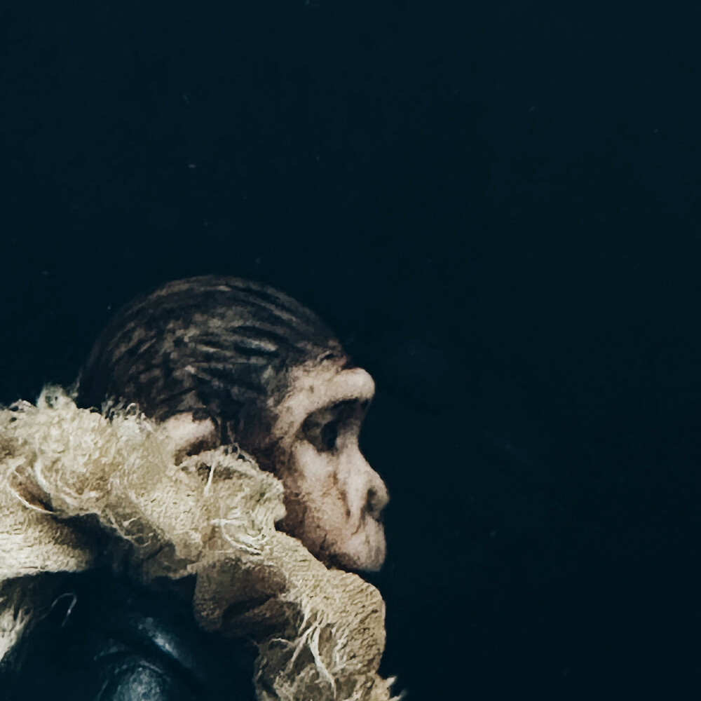 Monkey emperor profile